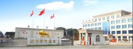 南陽金牛彩印集團(tuán)有限公司